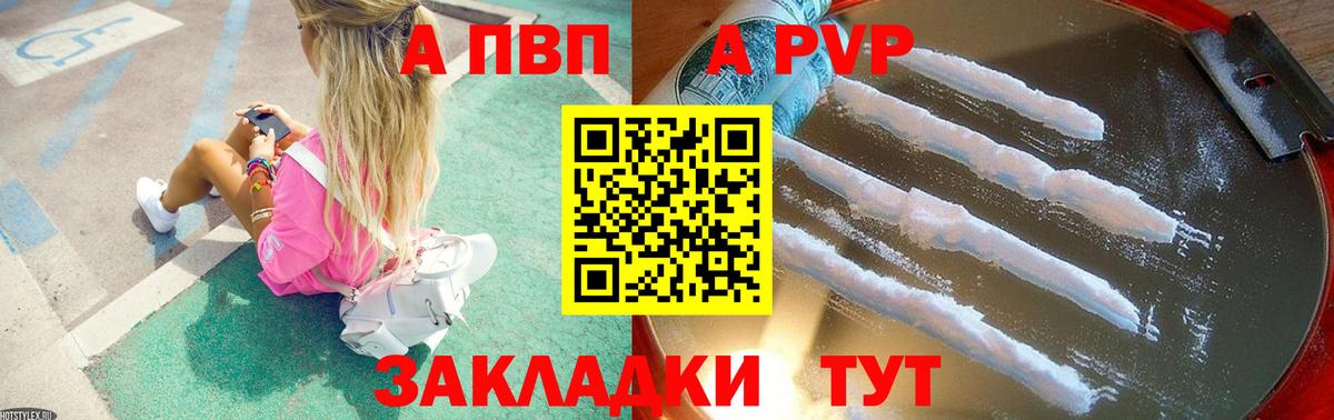 Alfa_PVP СК КРИС  Альфа ПВП Соль  Вход с VPN  Альфа ПВП  Хасавюрт 