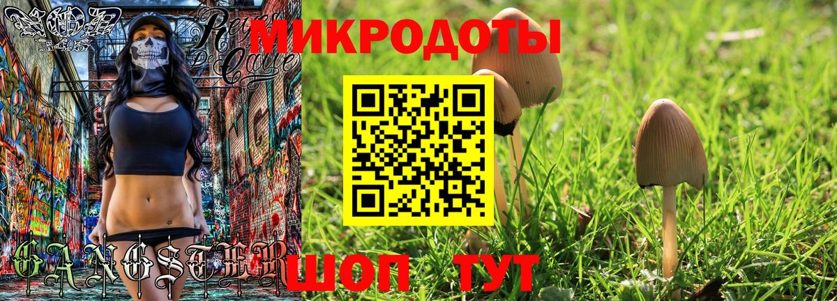 Псилоцибиновые грибы прущие грибы Хасавюрт