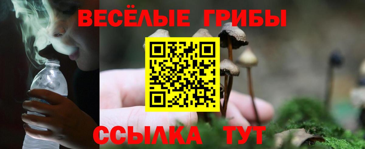 Псилоцибиновые грибы Cubensis  Псилоцибиновые грибы ЛСД  Вход с VPN  наркота  Хасавюрт 